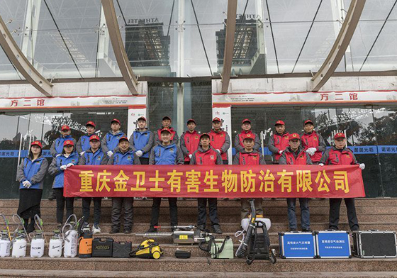 散白蟻侵害現(xiàn)代建筑，如何有效進(jìn)行白蟻防治處理