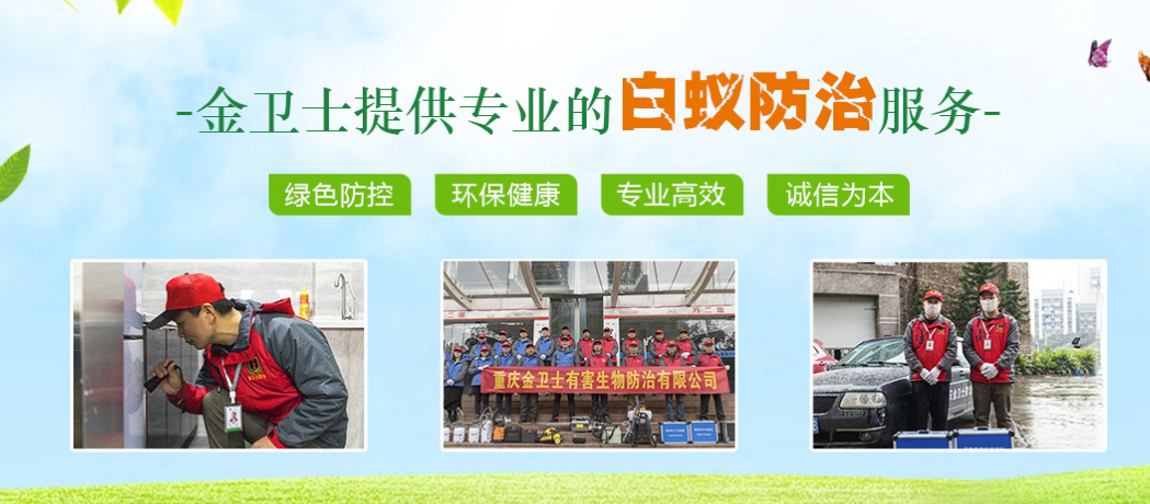 春季3月時期，白蟻消殺工作任重而道遠(yuǎn)  ?