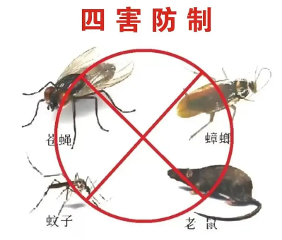 床墊易滋生吸血臭蟲，怎樣預防呢？